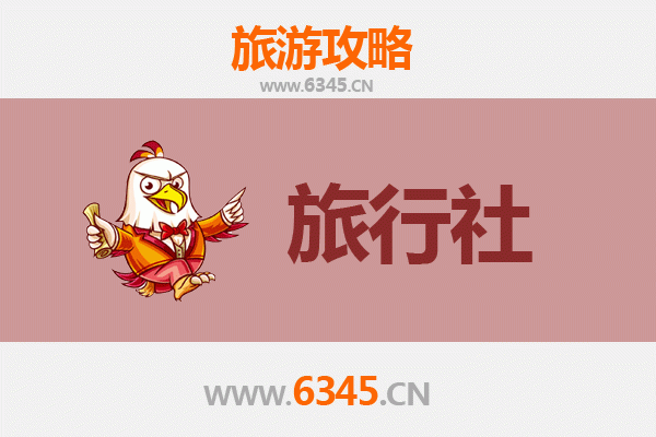 厦门集美本地旅行社推荐：精选靠谱地接社与深度游攻略
